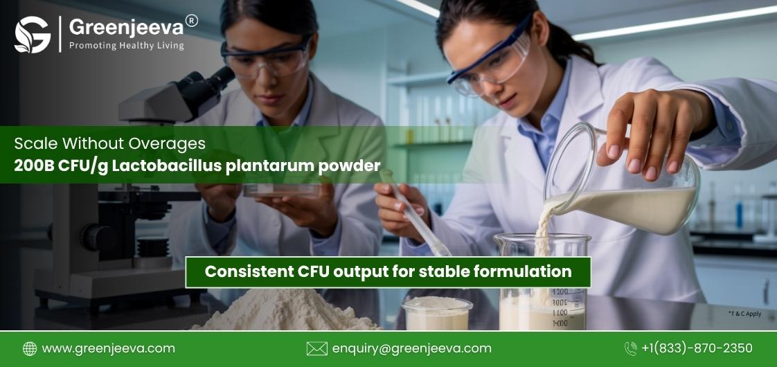 Is bulk Lactobacillus plantarum 200B CFU powder cost-efficient for manufacturing? 